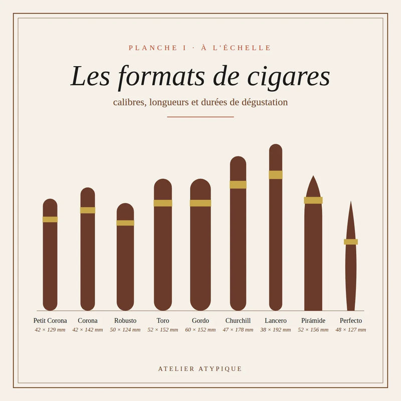 Cigar Formats Explained: Vitola, Ring Gauge, and Their Impact on Your Smoking Experience