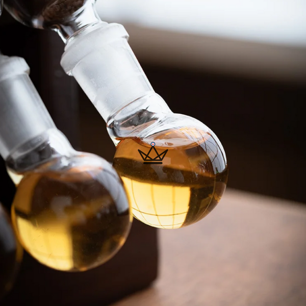 Infuseur à cigare haut de gamme – Infusio Scala| 5 cigares