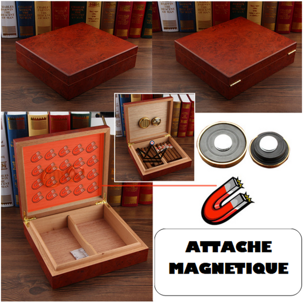 Cave à Cigare - WOOD MAGNET - Atelier Atypique