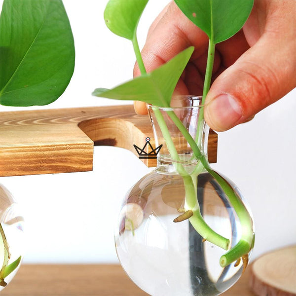 Terrarium en ampoule - ETABLY - Atelier Atypique