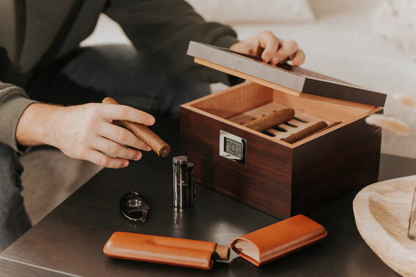 Cave à cigares, comment ça marche ?