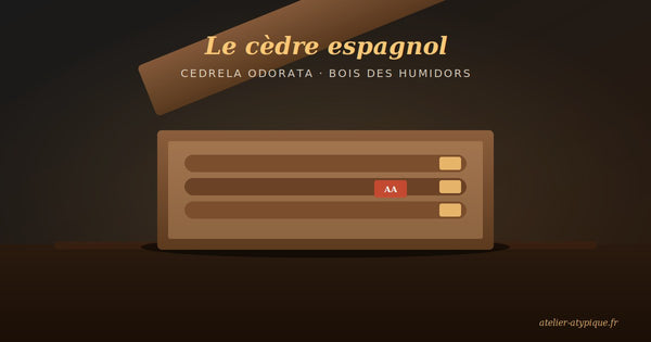 Pourquoi le cèdre espagnol est le seul bois vraiment idéal pour une cave à cigares : la science et l'art derrière un choix immuable