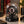 Single watch winder under  a glass dome with gyroscopic rings - ASTROLABE