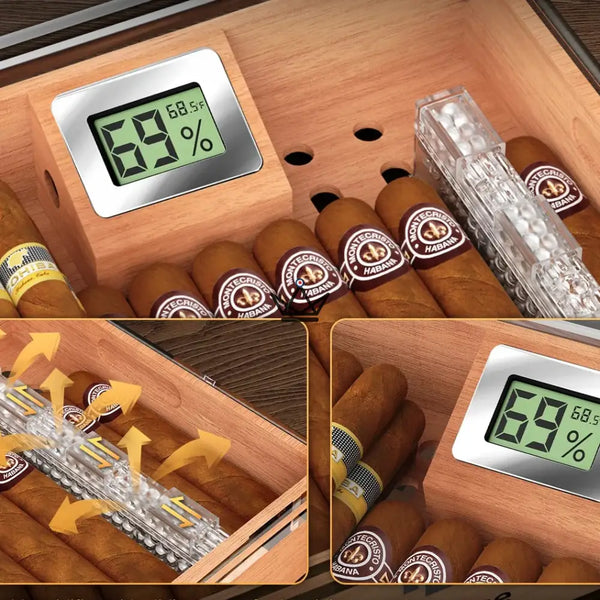 Aerion Vault Luxury Cigar Humidor – Elegance and Transparency