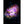 Nebula and galaxy canvas poster, 17 visuals - NEBULA