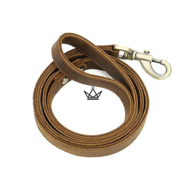 Customizable leather dog leash - Canis Lupus Voyager