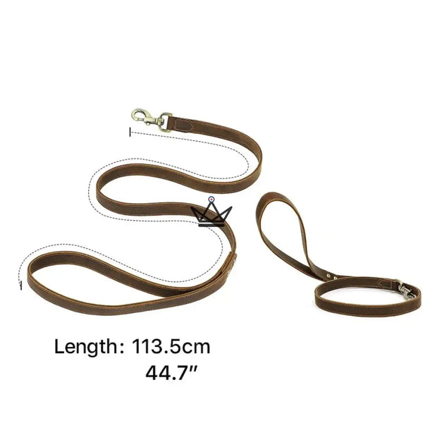 Customizable leather dog leash - Canis Lupus Voyager