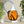 Blown glass Klein bottle, mathematical object - TOPOS