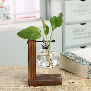 Terrarium en ampoule - EKY - ["maj-filtre","Objets Scientifiques"] - Objets Scientifiques - Cadeau, Noël, Anniversaire, Original, Fête des pères, fête des mères - Atelier Atypique