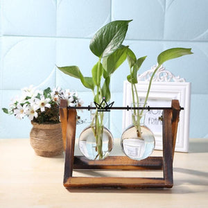 Terrarium en ampoule - TERRA - ["cadeau-anniversaire","maj-filtre","Objets Scientifiques"] - Objets Scientifiques - Cadeau, Noël, Anniversaire, Original, Fête des pères, fête des mères - Atelier Atypique